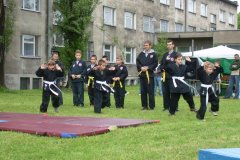 2009.05 - Pokaz Hapkido i Brygady AT w ZSL w Krakowie