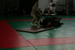 2005.06 - IV Festiwal Sztuk Walki