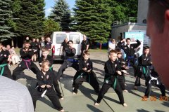 2014.05 - Pokaz z okazji Święta Czyżyn